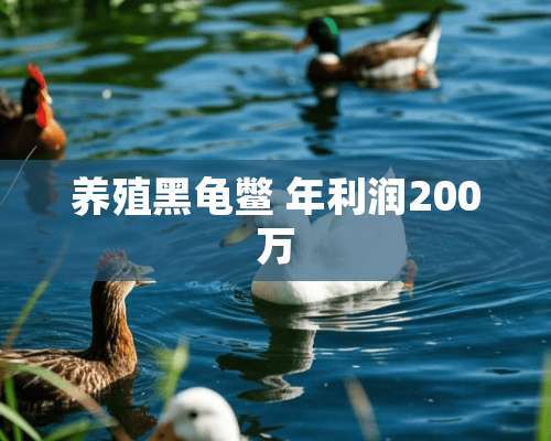 养殖黑龟鳖 年利润200万