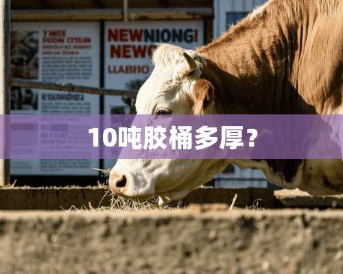 10吨胶桶多厚？