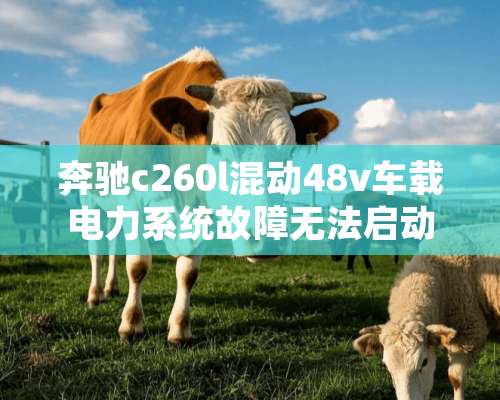 奔驰c260l混动48v车载电力系统故障无法启动车辆？