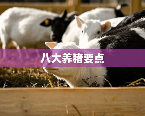 八大养猪要点