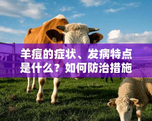 羊痘的症状、发病特点是什么？如何防治措施？