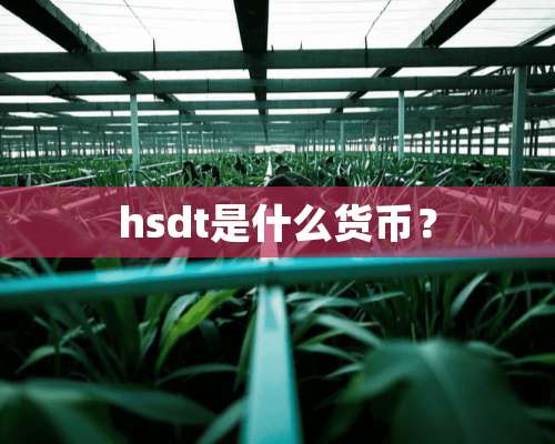 hsdt是什么货币？