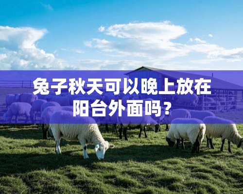 兔子秋天可以晚上放在阳台外面吗？