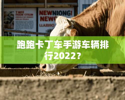 跑跑卡丁车手游车辆排行2022？