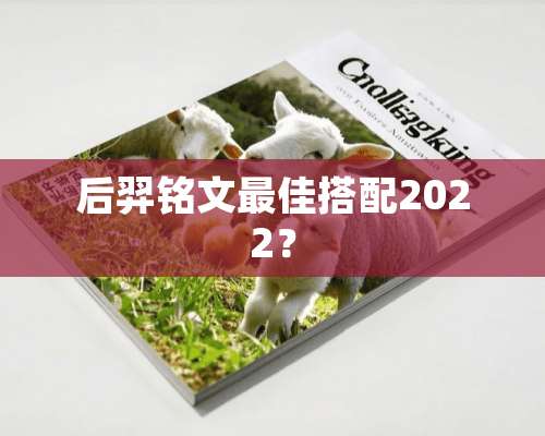 后羿铭文最佳搭配2022？