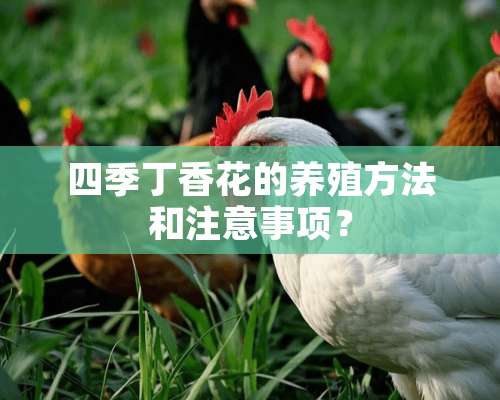 四季丁香花的养殖方法和注意事项？