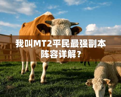 我叫MT2平民最强副本阵容详解？