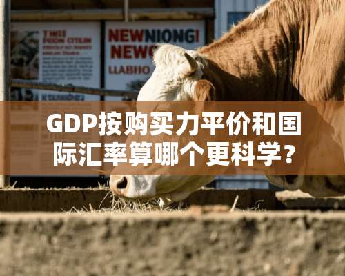 GDP按购买力平价和国际汇率算哪个更科学？