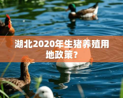 湖北2020年生猪养殖用地政策？