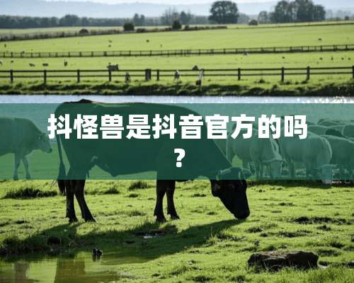 抖怪兽是抖音官方的吗？