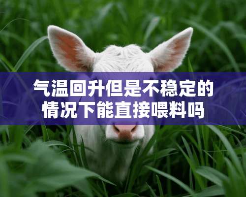 气温回升但是不稳定的情况下能直接喂料吗