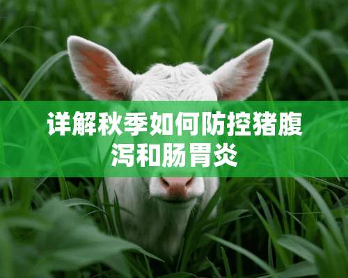 详解秋季如何防控猪腹泻和肠胃炎