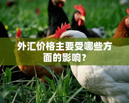 外汇价格主要受哪些方面的影响？