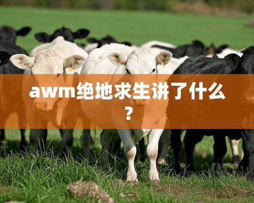 awm绝地求生讲了什么？