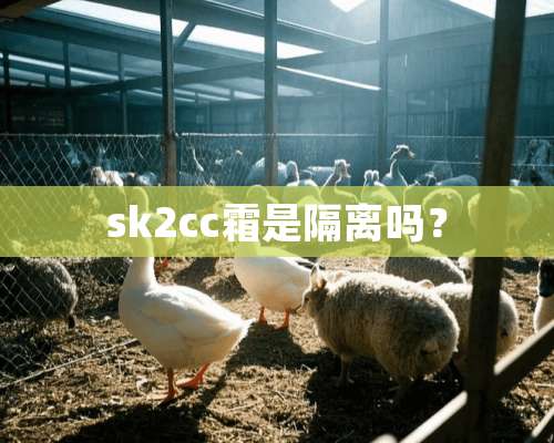 sk2cc霜是隔离吗？