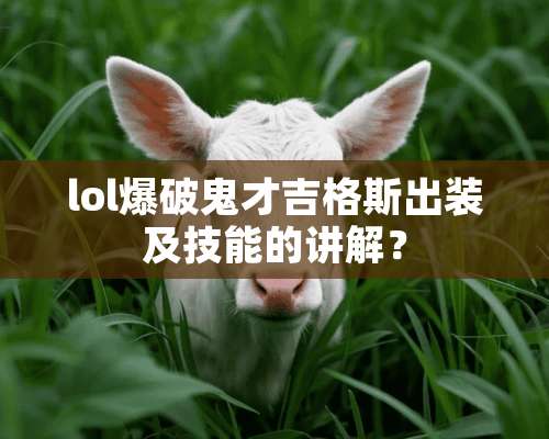 lol**鬼才吉格斯出装及技能的讲解？