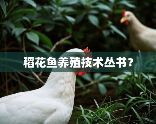 稻花鱼养殖技术丛书？