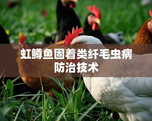 虹鳟鱼固着类纤毛虫病防治技术