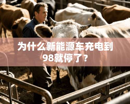 为什么新能源车充电到98就停了？