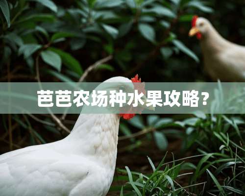 芭芭农场种水果攻略？