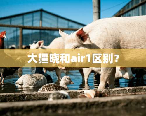 大疆晓和air1区别？