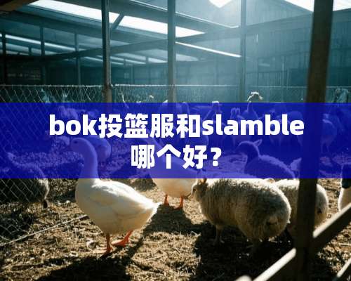 bok投篮服和slamble哪个好？