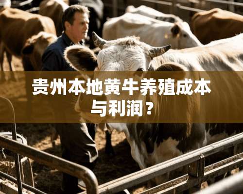 贵州本地黄牛养殖成本与利润？