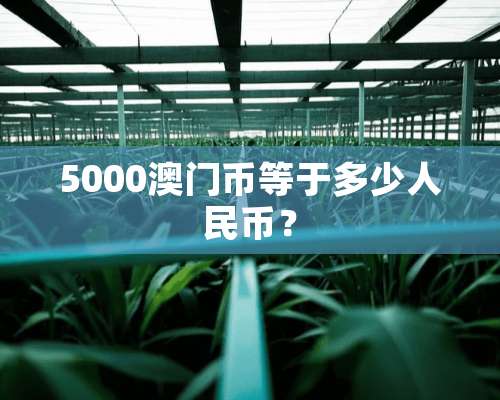 5000**币等于多少人民币？