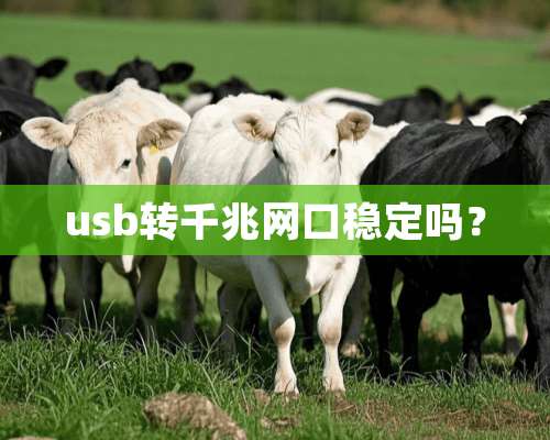 usb转千兆网口稳定吗？