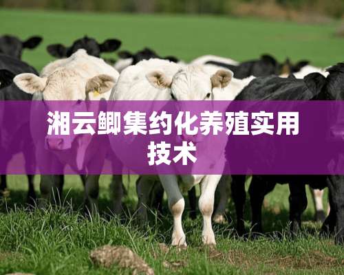 湘云鲫集约化养殖实用技术