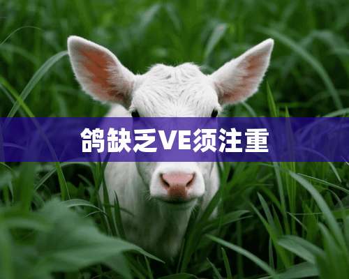 鸽缺乏VE须注重