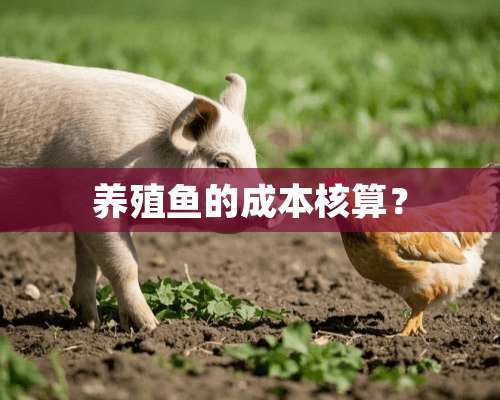 养殖鱼的成本核算？