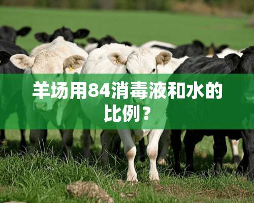 羊场用84消毒液和水的比例？