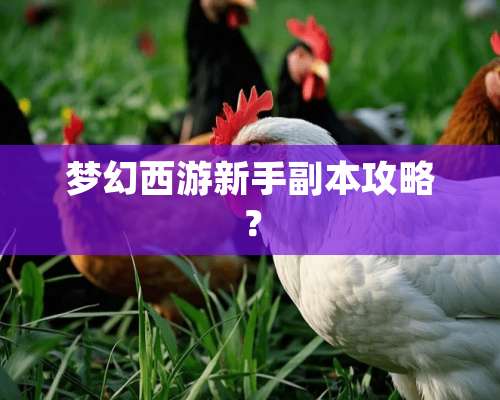 梦幻西游新手副本攻略？