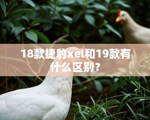 18款捷豹xel和19款有什么区别？