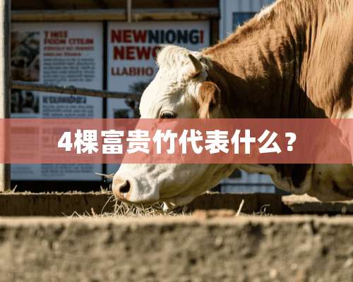 4棵富贵竹代表什么？