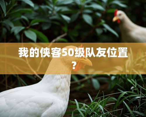 我的侠客50级队友位置？