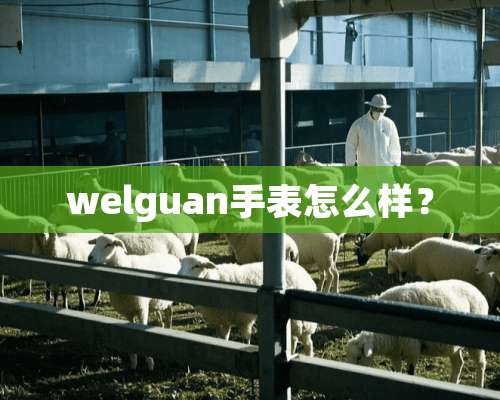 welguan手表怎么样？