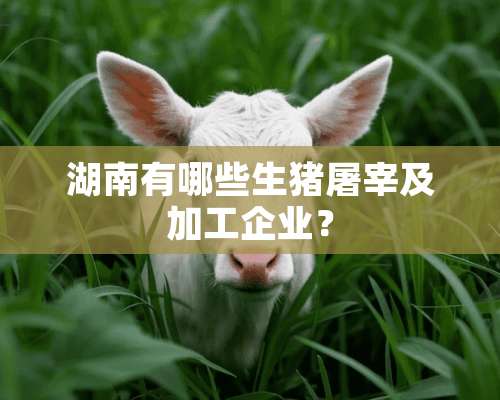 湖南有哪些生猪屠宰及加工企业？