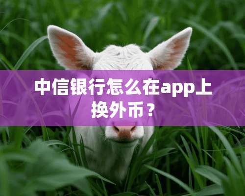 中信银行怎么在app上换外币？