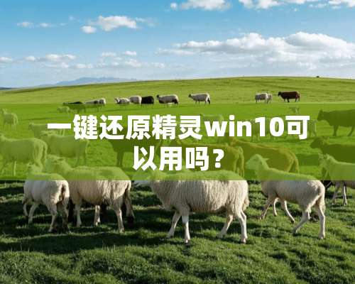 一键还原精灵win10可以用吗？