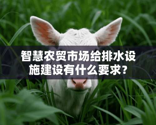 智慧农贸市场给排水设施建设有什么要求？