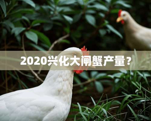 2020兴化大闸蟹产量？