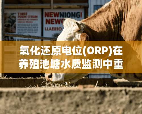 氧化还原电位(ORP)在养殖池塘水质监测中重要作用