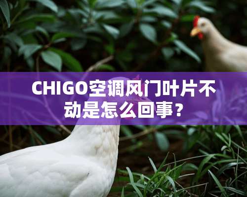 CHIGO空调风门叶片不动是怎么回事？