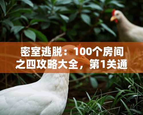 密室逃脱：100个房间之四攻略大全，第1关通关图解？