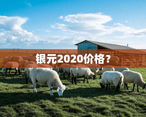 银元2020价格？