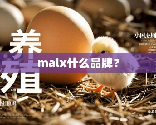 malx什么品牌？