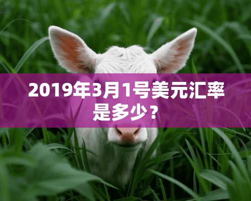 2019年3月1号美元汇率是多少？