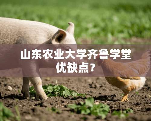 山东农业大学齐鲁学堂优缺点？